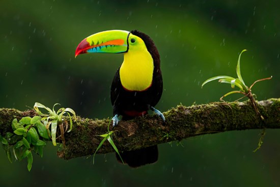 Tháng 7 Âm lịch cầu may tránh ác: 3 con giáp vượng vận quý nhân, phát tài nhanh chóng