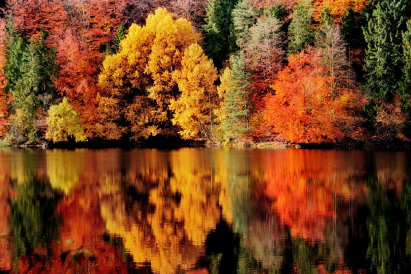 Tử vi tuần mới 14/8-20/8: Tuất không thiếu tiền, Ngọ đừng cố chấp-5