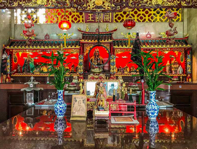 Tại sao người giàu thích đặt cây trúc phát tài trên bàn thờ? Biết lý do tôi liền học theo-1