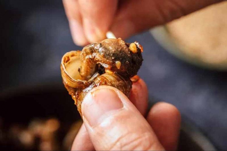 Ốc mua về đừng luộc ngay, ngâm với thứ này hết sạch bùn đất, giun sán bò ra nhung nhúc-2