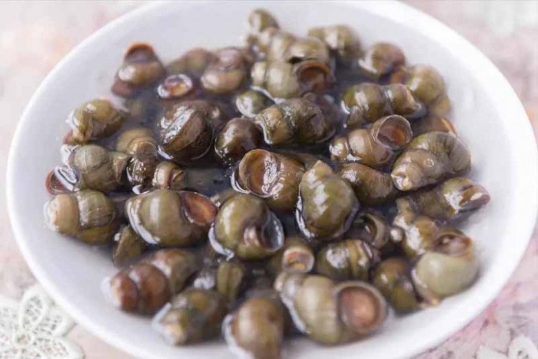 Ốc mua về đừng luộc ngay, ngâm với thứ này hết sạch bùn đất, giun sán bò ra nhung nhúc-5