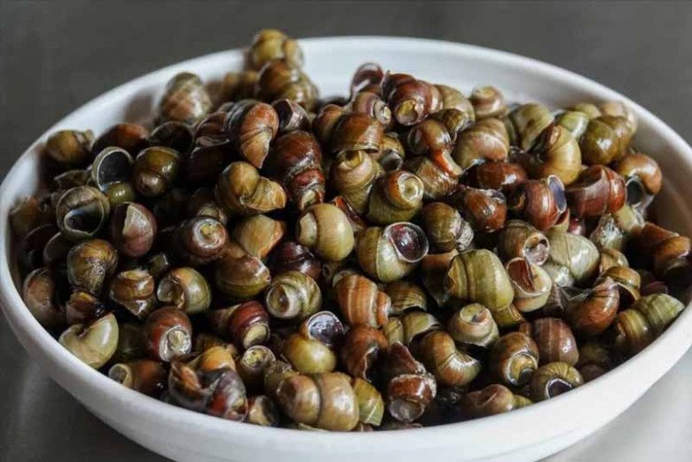 Ốc mua về đừng luộc ngay, ngâm với thứ này hết sạch bùn đất, giun sán bò ra nhung nhúc-6
