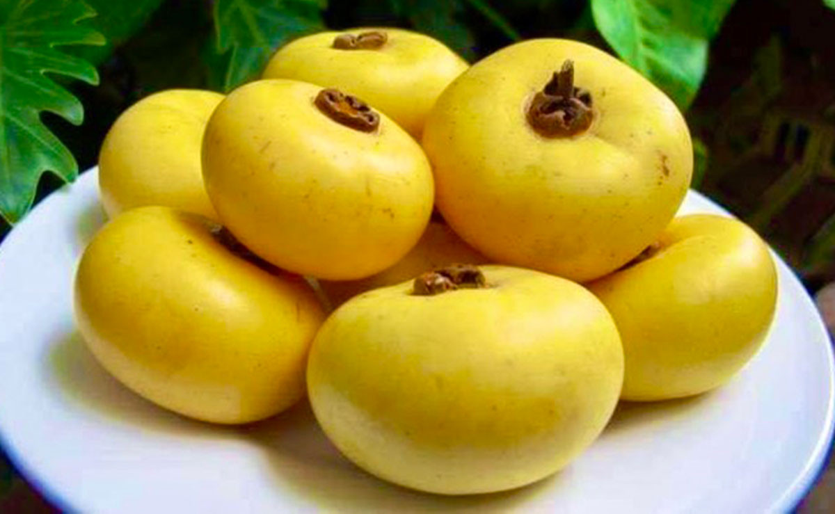 Giá cherry nhập khẩu Mỹ thấp kỷ lục, quả thị giá cao vẫn được săn đón-1