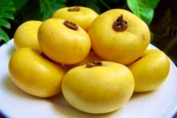 Cũng là quả na nhưng loại na đặc biệt này nhiều người săn lùng vì được ví như thần dược phòng the”-3