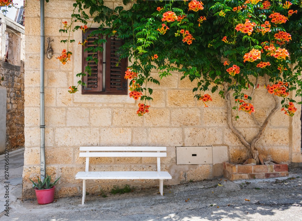 Người xưa nói: Trước nhà trồng cây cảnh này, Thần Tài tránh xa, vận may trốn tránh-6