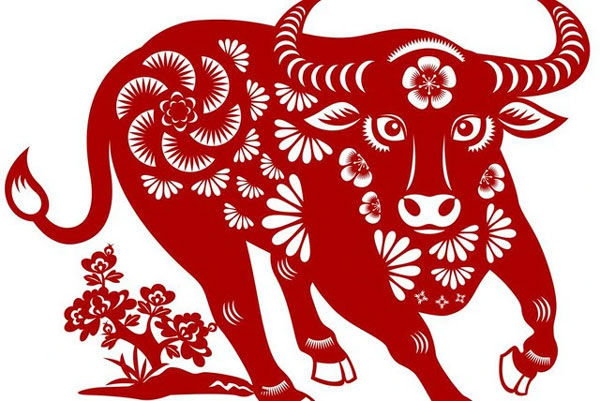 4 con giáp may mắn vượt bậc, cả cuộc đời được nhiều quý nhân giúp đỡ-2