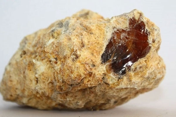 Nhặt được cục đá bên bờ biển, cậu bé không ngờ đây là kho báu giúp gia đình đổi đời-1