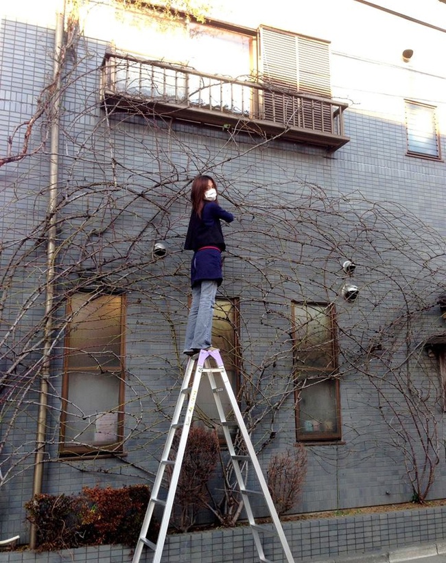 Khu vườn hoa hồng trĩu bông trên sân thượng của cô sinh viên-11