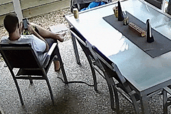 Clip: Tử chiến nảy lửa với rắn độc, kỳ đà bị đối thủ nuốt chửng-1