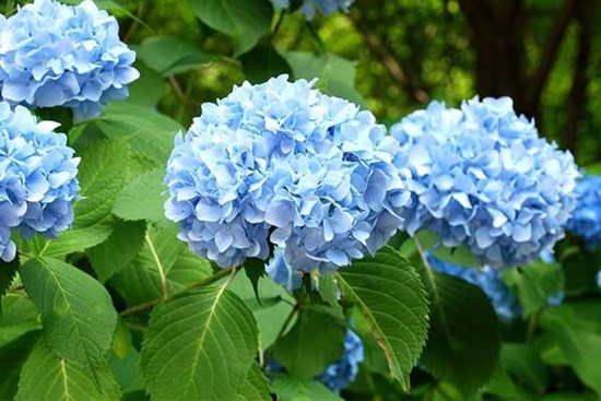 Trúng quả đậm: 3 con giáp kinh doanh thành công, tiền bạc không rủ cũng đến trong tháng 8