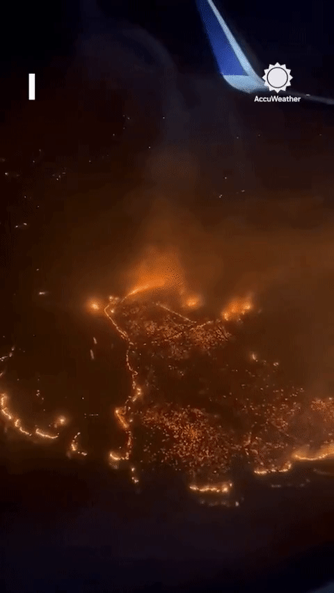 Nhân chứng thảm họa cháy rừng ở Hawaii: Họ gào thét, bị lửa bao trùm nhưng tôi không thể làm gì-1