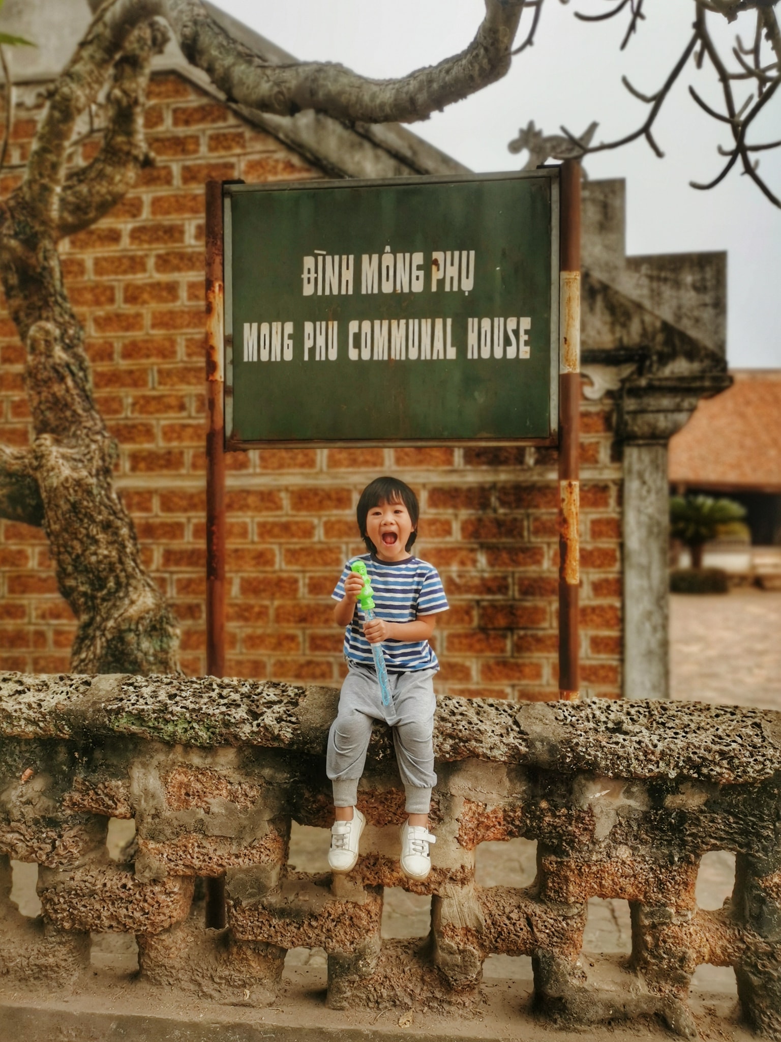 Bố mẹ hoãn mua nhà, để dành tiền đưa con đi du lịch khắp nơi-7