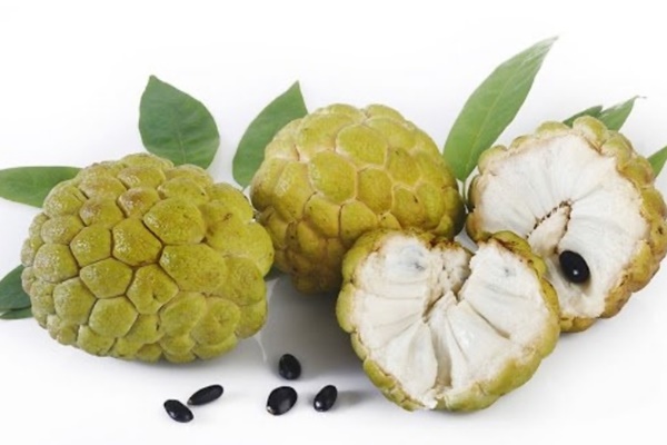 Ăn na lỡ nuốt hạt có bị ngộ độc không?-1