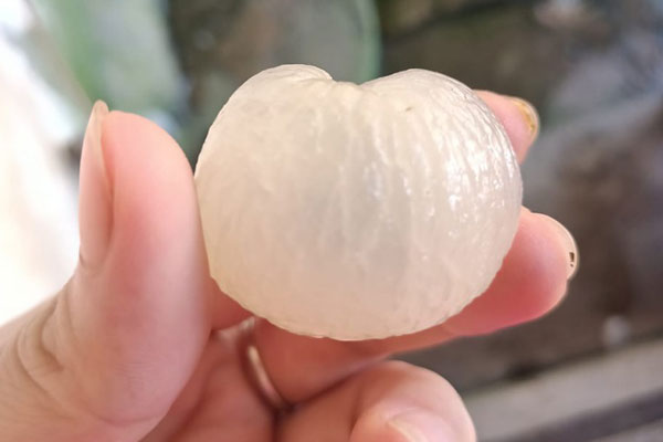 Truy bắt kẻ dùng búa cướp tiệm vàng ở Hưng Yên-2