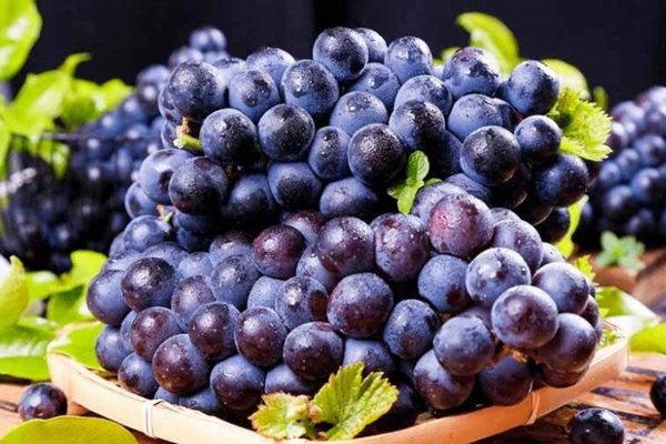 Lợi ích khi thêm vài lát chanh tươi vào nồi luộc trứng-3