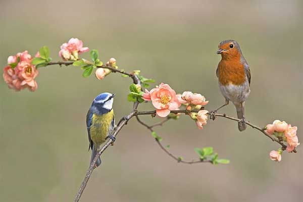 Người có ngày sinh kết thúc bằng 4 số này cả đời không phải lo nghĩ về tiền bạc-4