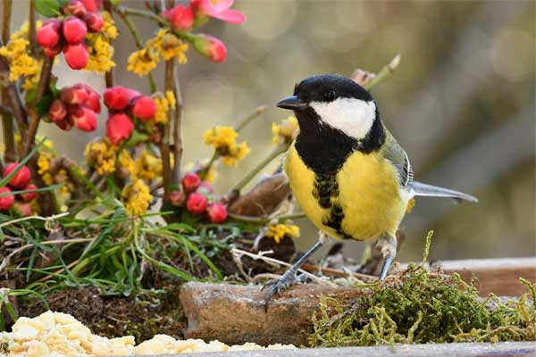 Người có ngày sinh kết thúc bằng 4 số này cả đời không phải lo nghĩ về tiền bạc-1