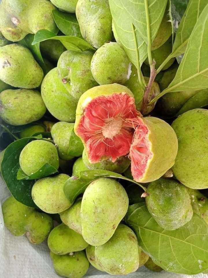Loại quả vị chua chua, ruột hồng bắt mắt giá ngang trái cây nhập khẩu ở Hà Nội vẫn đắt khách-1
