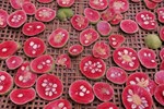 Loại nhãn giá hơn 100.000 đồng/kg đang gây sốt”, nhà vườn mót từng quả để bán-3