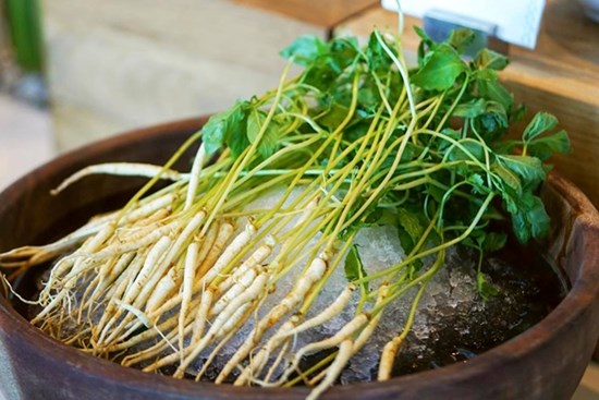 Chuyên gia nói gì về trào lưu ăn nhân sâm mầm thay rau để cải thiện sức khỏe?