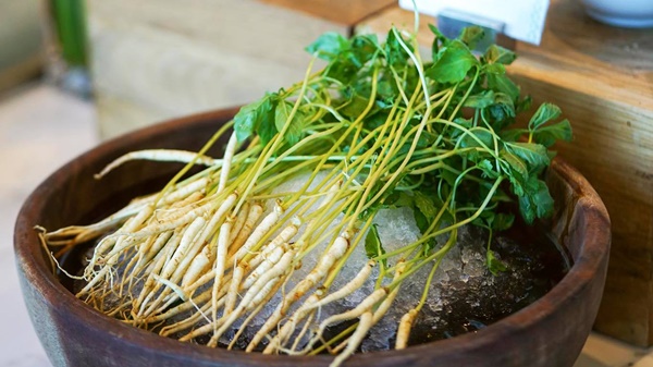 Chuyên gia nói gì về trào lưu ăn nhân sâm mầm thay rau để cải thiện sức khỏe?-5