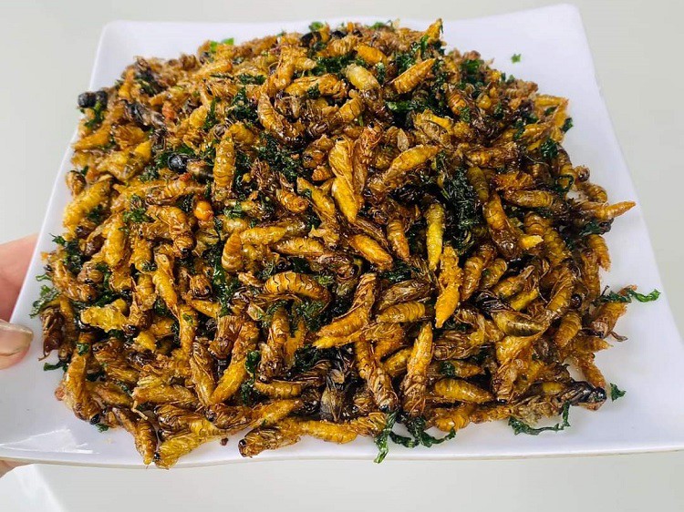 Bất ngờ sáp của loài ong này được lùng mua với giá 1,4 triệu đồng/kg-2