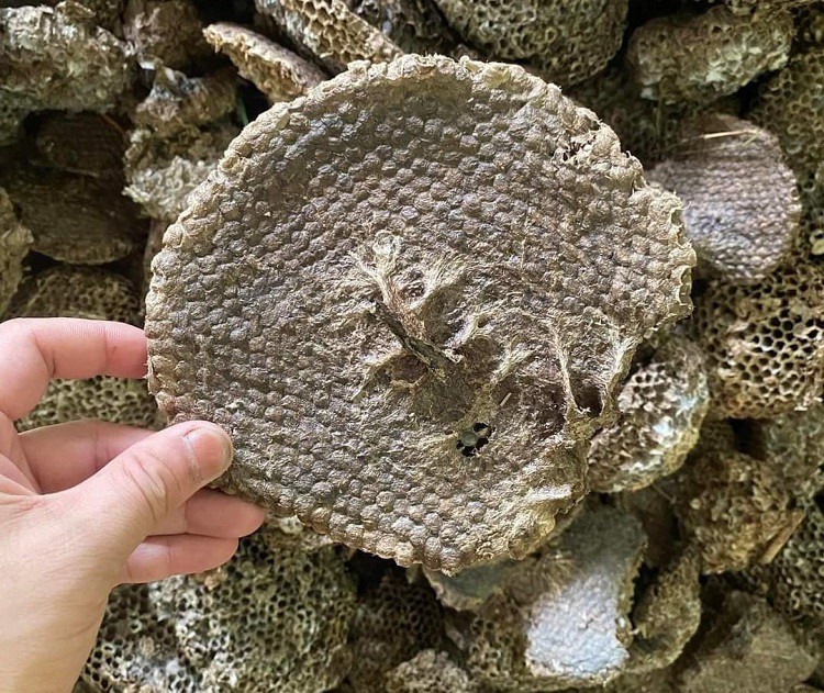 Bất ngờ sáp của loài ong này được lùng mua với giá 1,4 triệu đồng/kg-3