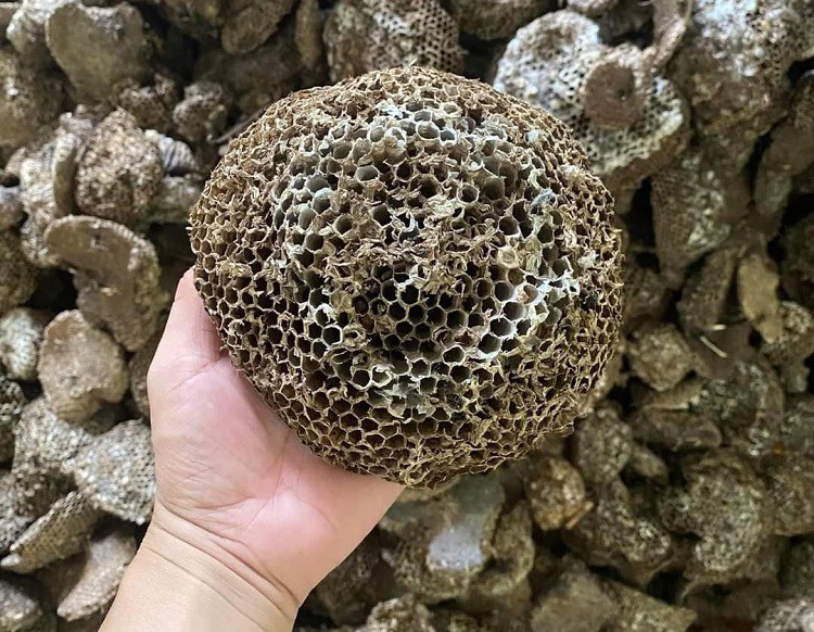 Bất ngờ sáp của loài ong này được lùng mua với giá 1,4 triệu đồng/kg-6