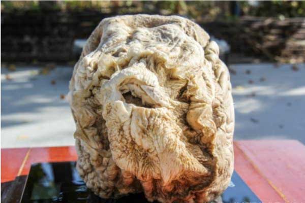 Tảng đá kỳ lạ nặng 200 tấn đứng vững trên mỏm đá tí hon-3