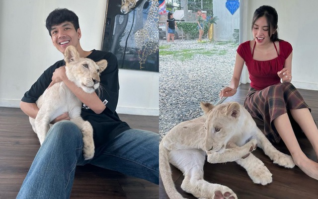 Danh tính bạn trai tin đồn của hoa hậu Tiểu Vy gây ngỡ ngàng-3