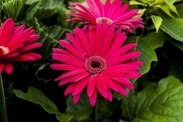 Tháng cô hồn ai xui mặc ai: 3 con giáp may mắn, bình an, tài lộc vượng phát nhờ có nhân duyên tốt đẹp-1