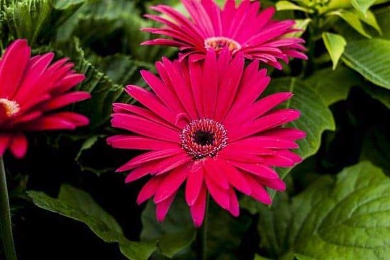 Tháng cô hồn ai xui mặc ai: 3 con giáp may mắn, bình an, tài lộc vượng phát nhờ có nhân duyên tốt đẹp