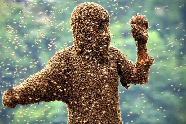 Đám tang náo loạn vì đàn ong tấn công, 1 người chết, 4 người bị thương nặng-1