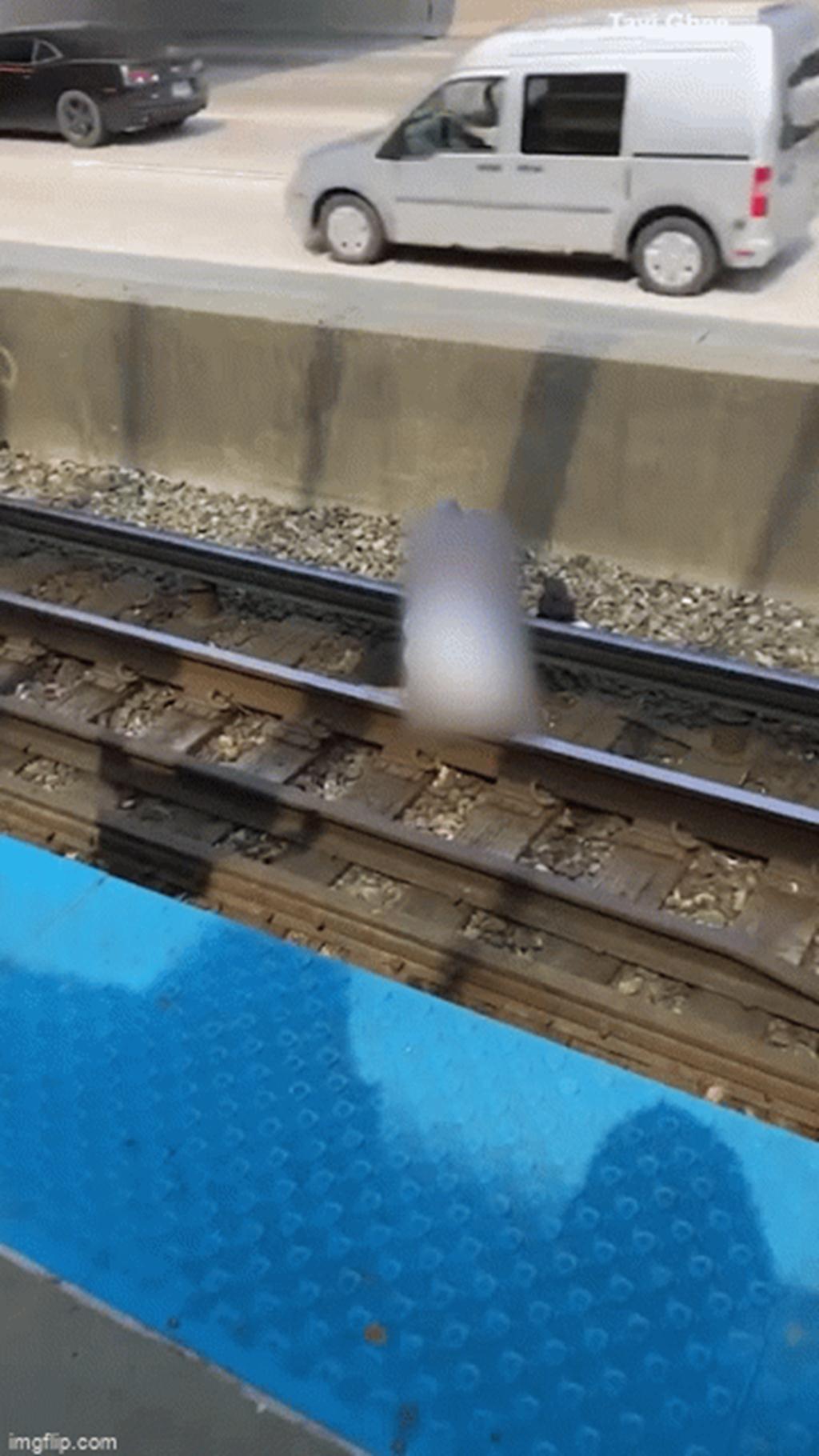 Lên đường tàu chụp ảnh, nhóm người gặp sự cố ám ảnh-5