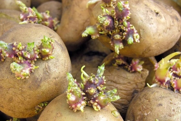 5 thực phẩm hại sức khỏe nhà nào cũng có, bạn nên ăn càng ít càng tốt-1