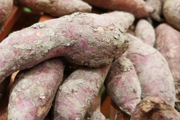 5 thực phẩm hại sức khỏe nhà nào cũng có, bạn nên ăn càng ít càng tốt-5