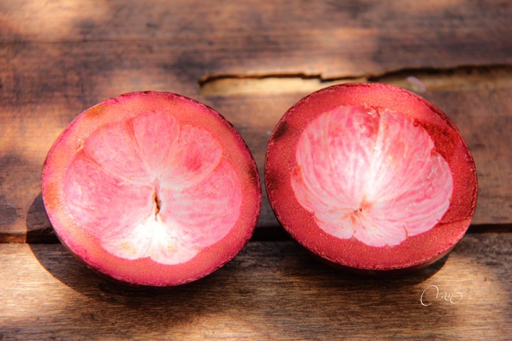 Loại quả từ xanh đến chín đều hot một thời, nay phần vỏ cũng bán giá gần 100.000 đồng/kg-1