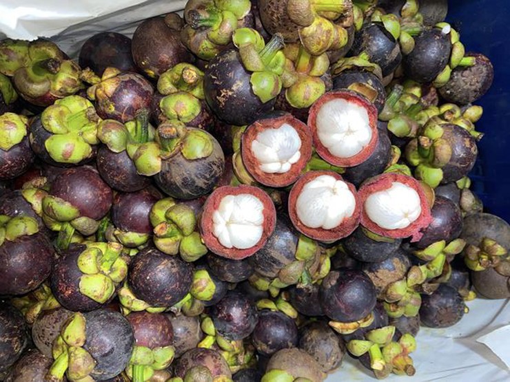 Loại quả từ xanh đến chín đều hot một thời, nay phần vỏ cũng bán giá gần 100.000 đồng/kg-2