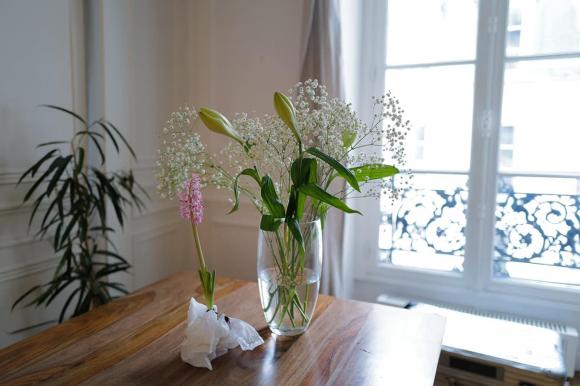 Bống Hồng Nhung tuổi 53: Sở hữu nhà ở Pháp lãng mạn, nhà đồi bên Mỹ cực ấn tượng-15