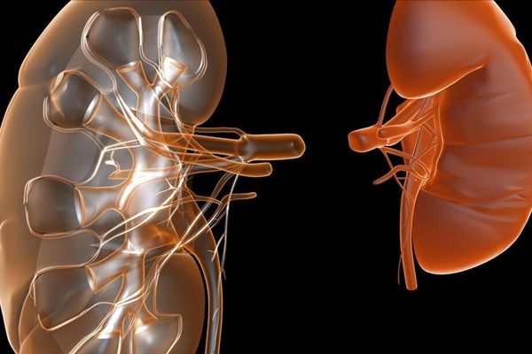 Bác sĩ nhấn mạnh 4 thói quen trước khi đi ngủ sẽ làm tổn thương thận-1