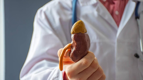 Bác sĩ nhấn mạnh 4 thói quen trước khi đi ngủ sẽ làm tổn thương thận-2