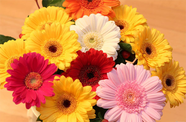 Có số làm giàu: Người có ngày sinh Âm lịch kết thúc bằng 3 số này trung niên làm ăn phát đạt-2