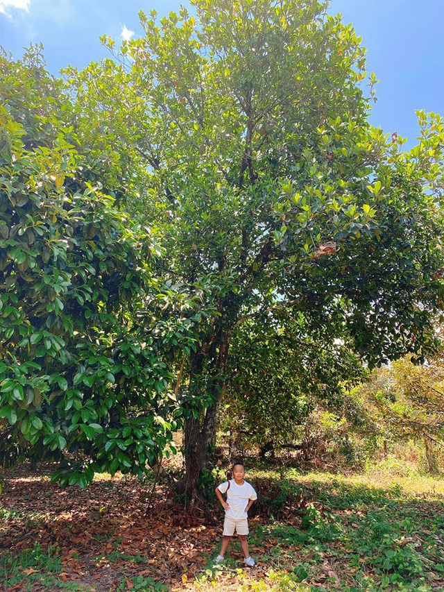 Nhà vườn khó ai bì kịp của NTK vừa thừa nhận rút kinh nghiệm sâu sắc vì kêu gọi từ thiện trong hội anti HH Ý Nhi-9