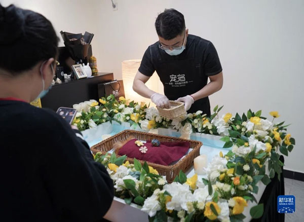 Tỷ lệ thất nghiệp cao, giới trẻ xứ Trung đua nhau làm nghề lạ, mai táng cho thú cưng cũng kiếm nửa tỷ mỗi tháng-2