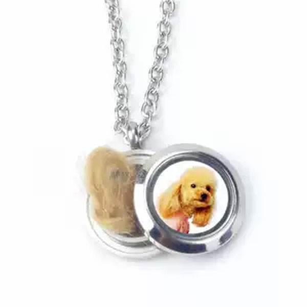 Tỷ lệ thất nghiệp cao, giới trẻ xứ Trung đua nhau làm nghề lạ, mai táng cho thú cưng cũng kiếm nửa tỷ mỗi tháng-4