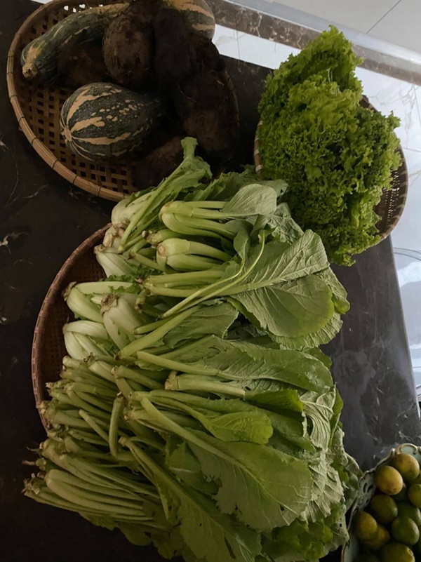 Cây trái trĩu quả trong penthouse, biệt thự triệu đô-5