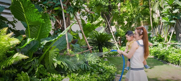 Cây trái trĩu quả trong penthouse, biệt thự triệu đô-6