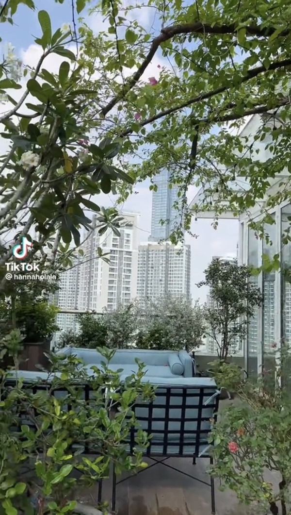 Cây trái trĩu quả trong penthouse, biệt thự triệu đô-9