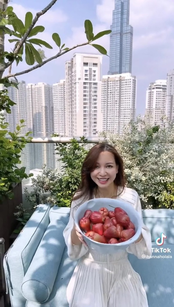 Cây trái trĩu quả trong penthouse, biệt thự triệu đô-12