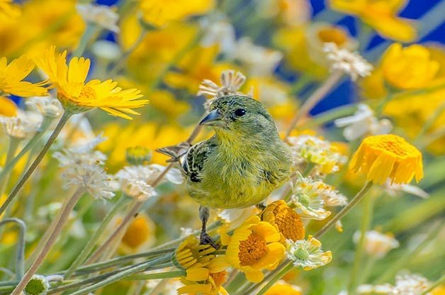 Cuối tháng 8, 4 con giáp lặng lẽ lên dốc, quý nhân trợ giúp, kiếm được nhiều tiền, tránh xa rắc rối-2